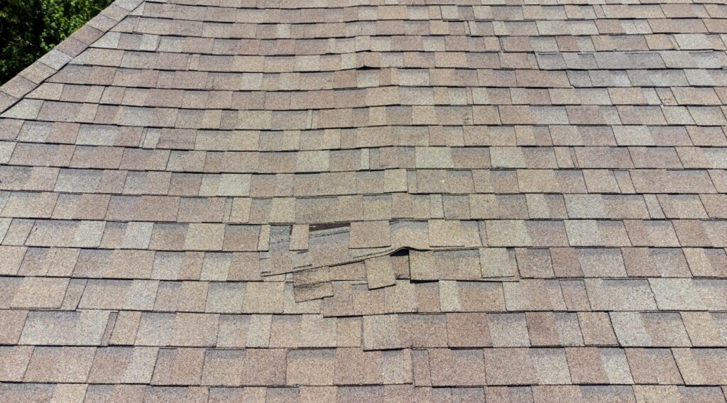 signs of shingle damage in Joliet